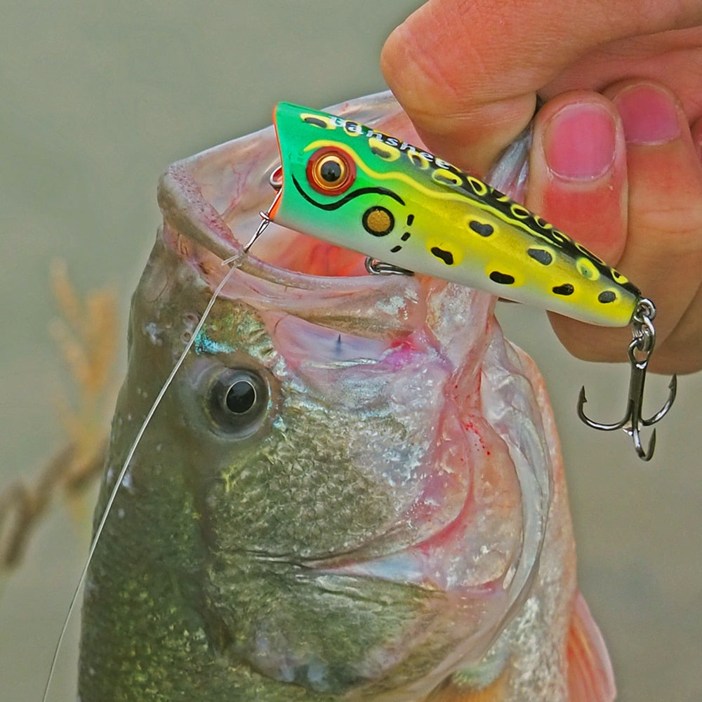 Banshee 60mm 8g Isca Popper Lure For Fishing Poppers Rattling Baits Poper Topwater Hard Bait Artificial Wobblers For Bass Pike